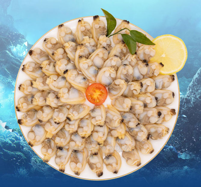 春節(jié)送禮就送仟貝福雜色蛤 春節(jié)送禮就送仟貝福雜色蛤